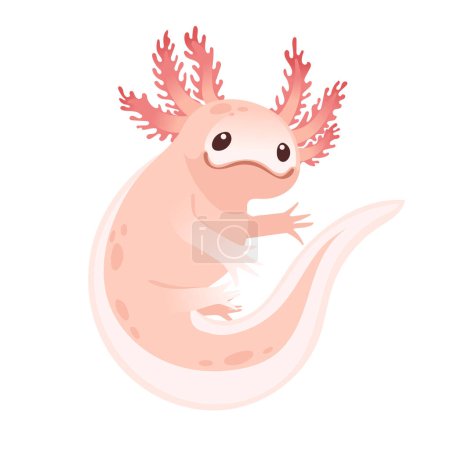 Cute cartoon axolotl pink color amphibian animal vector illustration isolated on white background.