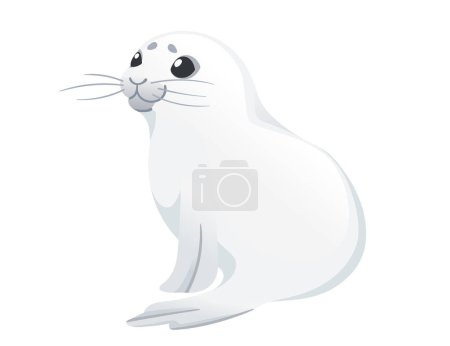 Mignon phoque blanc enfant mammifère arctique animal dessin animé animal dessin vectoriel illustration isolé sur fond blanc.