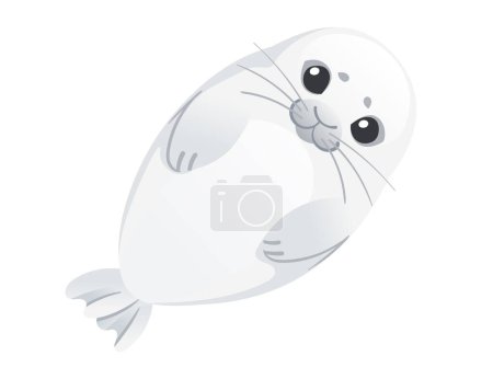 Cute white seal child mammal arctic animal cartoon animal design vector illustration isolated on white background.