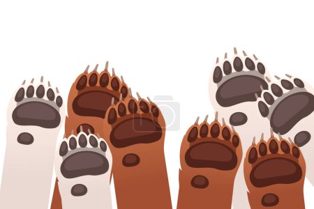 Animal paws in a row brown bear and white bear vector illustration isolated on white background.