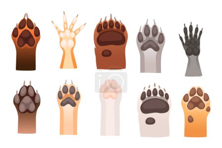 Set of different animal paw fox bear rabbit wolf and others simple cartoon style vector illustration isolated on white background.