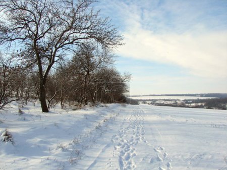 A view of a barely trodden road that goes into the distance between a forest strip and snow-covered fields to the blue-white horizon.