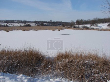 Panorama of a perfectly clean snow-white frozen surface of a steppe pond surrounded by dried sedge bushes under the rays of the frosty sun.