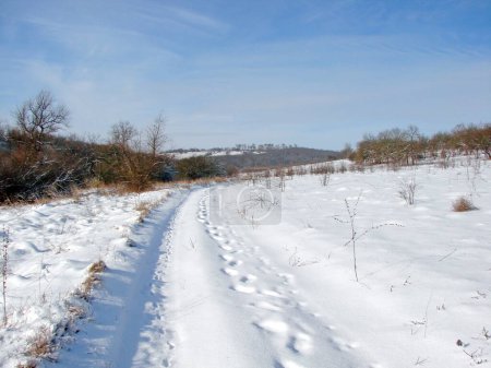A panorama of a barely trodden snow-covered road skirting the snow-white hillside in the direction of the coastal sedge bushes and reeds of the steppe lake.