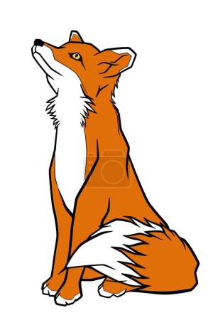 Illustration for Illustration of a fox - Royalty Free Image