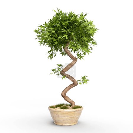 Photo for 3d render tree in a pot with a curved plant trunk on a white nature background - Royalty Free Image