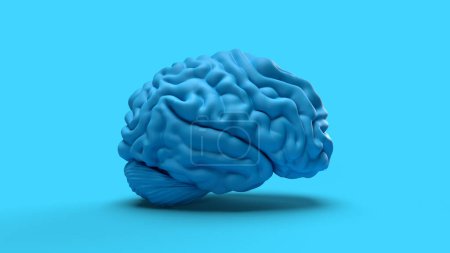 Téléchargez les photos : 3d rendre le cerveau humain vue de côté technologie médecine mentale maux de tête - en image libre de droit