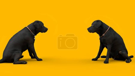 Photo for Two black dogs sitting opposite each other on a yellow background and looking at each other advertising about animals banner dogs - Royalty Free Image