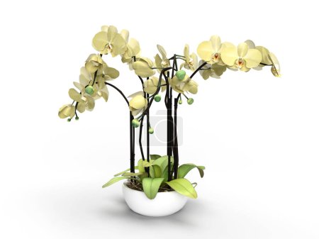 3d renderizar flor de orquídea amarilla en una olla sobre un fondo blanco