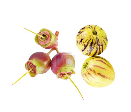 Téléchargez les photos : Syzygium jambos sur fond blanc - en image libre de droit