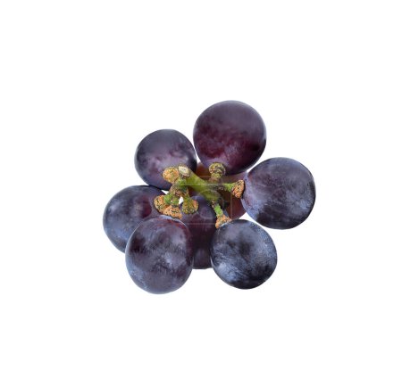 Téléchargez les photos : Bouquet de raisin isolé sur fond blanc - en image libre de droit