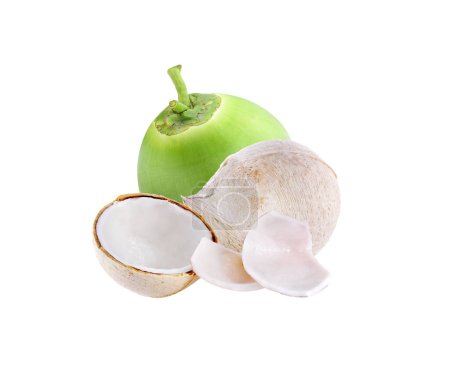Téléchargez les photos : Jeune noix de coco isolée sur fond blanc - en image libre de droit