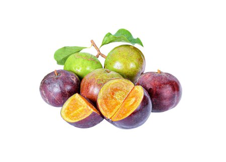 Téléchargez les photos : Takhop fruit isolé sur fond blanc - en image libre de droit
