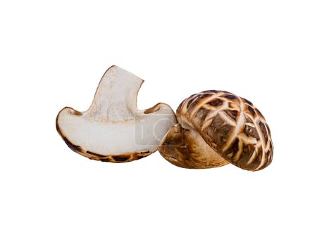Téléchargez les photos : Chiitake champignon isolé sur fond blanc - en image libre de droit