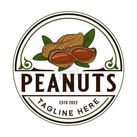 Photo for Peanut logo design. Peeled and unpeeled nut seeds with attached leaves are perfect for labeling organic foods, vegetable proteins and other natural products. - Royalty Free Image