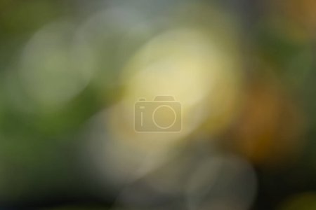 artistic colorful blurred background, with round plastic bokeh