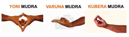 Téléchargez les photos : Ensemble de 3 mudras. Il comprend ces mudras, Yoni Mudra, Varuna Mudra, Kubera Mudra,. Les gestes sont isolés sur fond blanc. - en image libre de droit