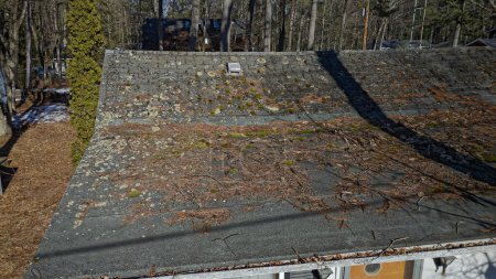 Old Roof needs repair with damaged asphalt roofing shingles covered in tree debris, needles, moss