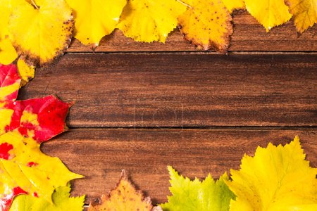 Coloridas hojas de arce de otoño sobre fondo de madera oscura
