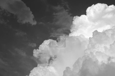 Photo for Skyscape. Cumulus clouds in close-up. Abstract photography. - Royalty Free Image