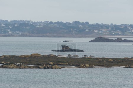 Téléchargez les photos : Petite île rocheuse ressemble à un sous-marin à marée basse sur la côte française vu de l'île de Callot, Carantec, Bretagne, France - en image libre de droit
