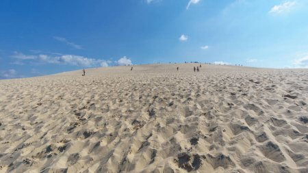 Téléchargez les photos : Dune de sable du Pilat, la plus grande dune d'Europe avec la pinède, Arcachon, Nouvelle-Aquitaine, France - en image libre de droit