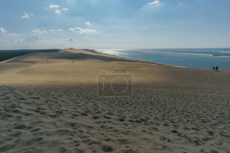 Téléchargez les photos : Dune de sable du Pilat, la plus grande dune d'Europe avec la pinède, Arcachon, Nouvelle-Aquitaine, France - en image libre de droit