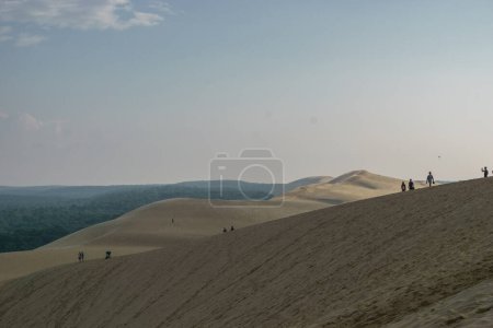 Téléchargez les photos : Touristes debout sur la Dune du Pilat, la plus grande dune d'Europe avec la pinède, Arcachon, Nouvelle-Aquitaine, France - en image libre de droit