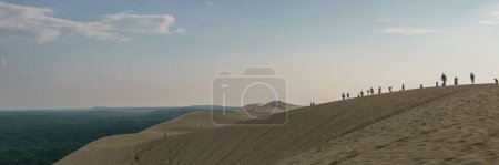 Téléchargez les photos : Panorama des touristes debout sur la Dune du Pilat, la plus grande dune d'Europe avec la pinède, Arcachon, Nouvelle-Aquitaine, France - en image libre de droit
