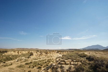 desertico