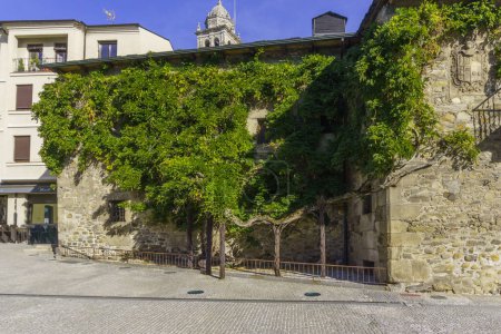 Foto de Casa de los Escudos, Emblema Casa con árbol verde creciendo en fachada, Ponferrada, León, España - Imagen libre de derechos