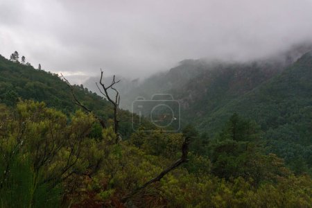 Téléchargez les photos : Paysage automnal de feuillus tempérés et de forêts mixtes dans les montagnes du parc national Peneda-Geres, Vilar da Veiga, Portugal - en image libre de droit