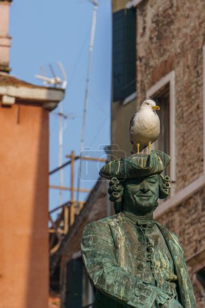 Bronzeskulptur von Carlo Osvaldo Goldoni mit Möwe auf dem Kopf, Venedig, Venetien, Italien