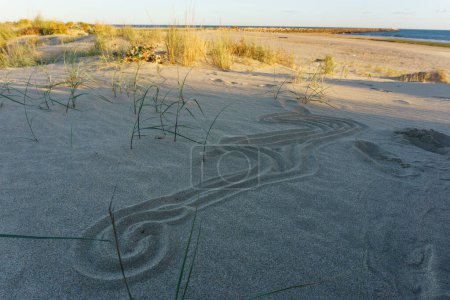 Geometrisches Linienmuster im Sand am Strand in Portugal bei Spanien mit grünem Gras
