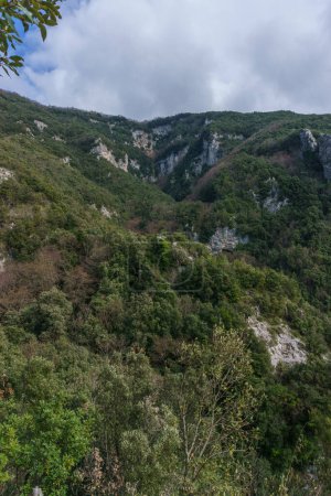 Blick auf die Vegetation am felsigen Hang am Wanderweg Sentiero degli Dei oder Weg der Götter an der Amalfiküste, Provinz Salerno, Kampanien, Italien