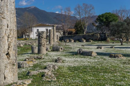 Restos de columnas del pórtico del Foro Romano en el Parque Arqueológico de Paestum