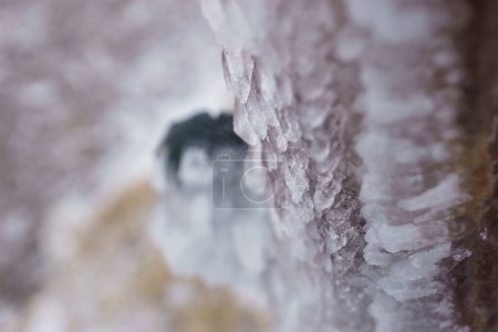 Macro photography of an ice covered trail marker post at the Vosges Mountains during stormy weather conditions in winter, Alsace, France