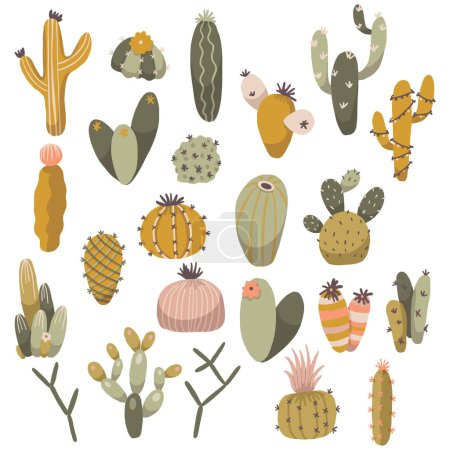 Illustration for Boho Cactus Plants Collection Vector Isolated Elements Set - Royalty Free Image