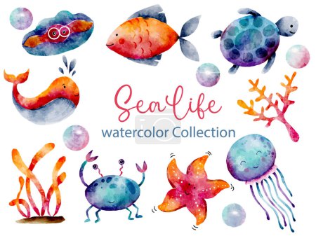 Sea Life Animals Watercolor Vector Isolated Elements Set