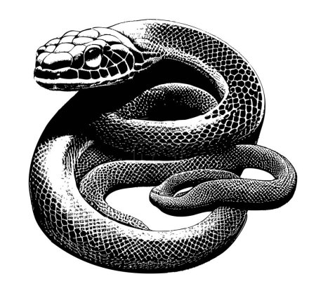 Illustration for Silhouette snake black and white sketch on a white background.Vector illustration - Royalty Free Image