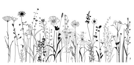 Téléchargez les illustrations : Fleurs sauvages herbes dessinées à la main sketch.Doodle style.Vector illustration - en licence libre de droit