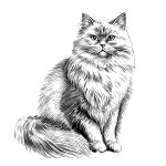 Fluffy cat sitting hand drawn sketch Pets Vector illustration