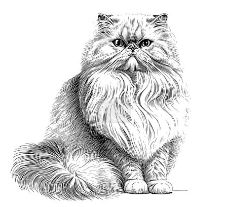 Persian fluffy cat sitting hand drawn sketch Domestic animals Vector illustration.