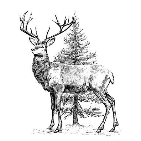 Illustration for Christmas deer on the background of the Christmas tree sketch hand drawn Vector illustration. - Royalty Free Image