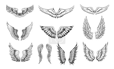 Téléchargez les illustrations : Jeu d'ailes esquisse dessinée à la main Illustration vectorielle - en licence libre de droit