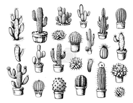 Cactus set bosquejo dibujado a mano Plantas Vector ilustración.