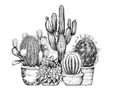 Patrón de cactus bosquejo dibujado a mano, estilo de grabado Ilustración vectorial jardinería