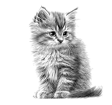 Téléchargez les illustrations : Petit chaton moelleux croquis dessiné à la main style gravé Illustration vectorielle.. - en licence libre de droit