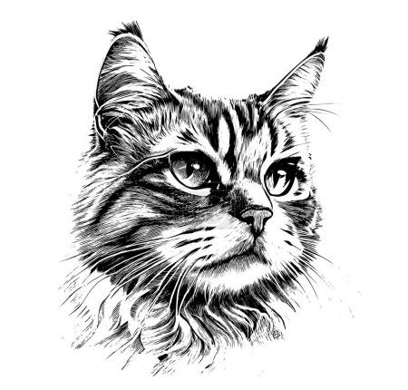 Retrato de una cabeza de gato boceto dibujado a mano estilo grabado Vector ilustración.