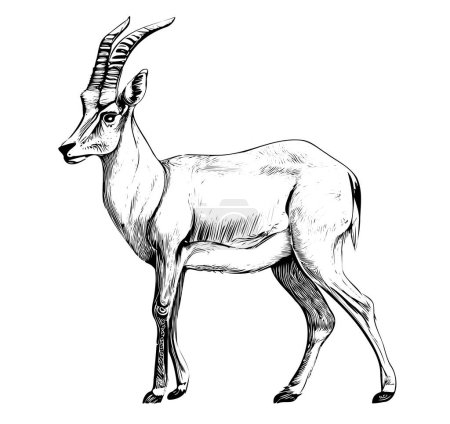 Téléchargez les illustrations : Esquisse d'antilope dessinée à la main Illustration vectorielle - en licence libre de droit